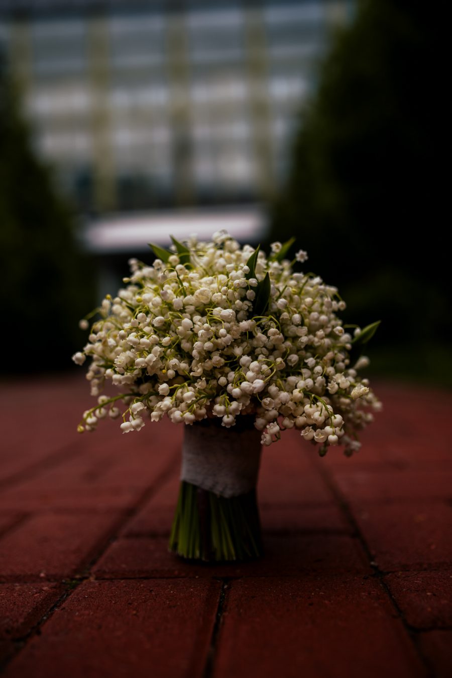 Sesiune Foto Evelina si Bogdan Jugravu Florin Fotograf profesionist de nunta 41