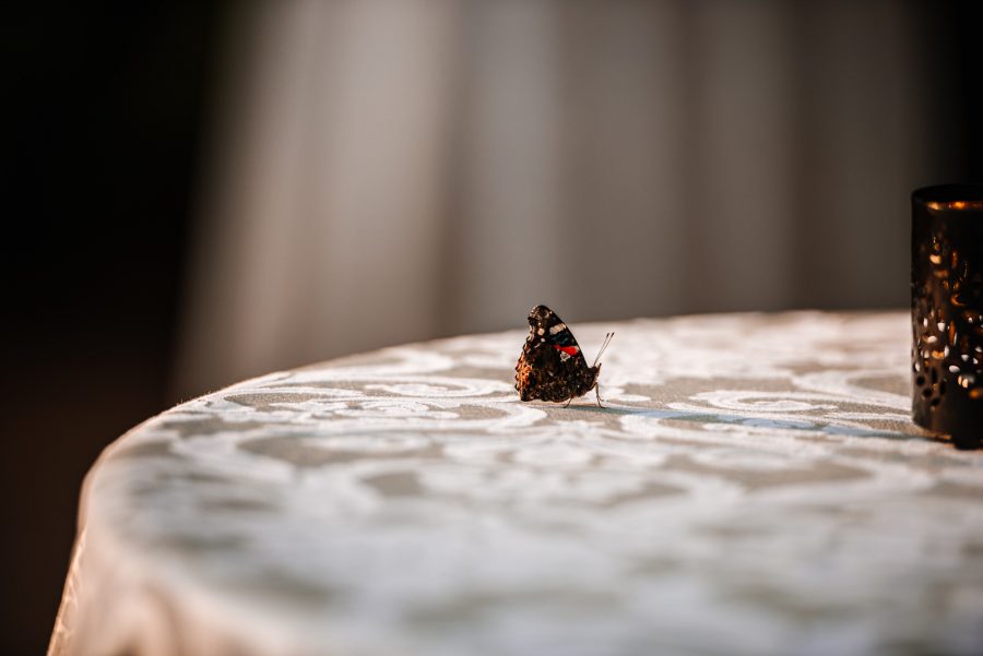 Fotograf nunta Bucuresti – Jugravu Florin Fotograf profesionist de nunta 107