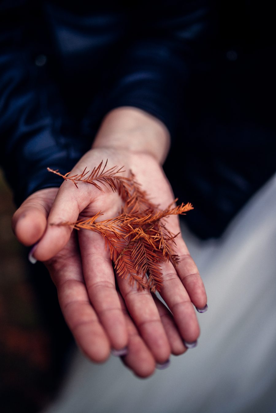 Sedinta Foto Cernica Bucuresti – Jugravu Florin Fotograf profesionist de nunta 30
