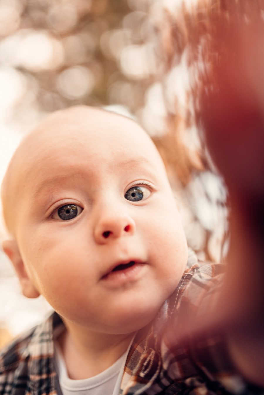 Sesiune Foto familie – Jugravu Florin Fotograf profesionist de nunta 35