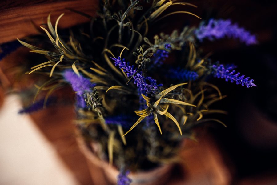 Alexandra&Adrian – Nunta-103