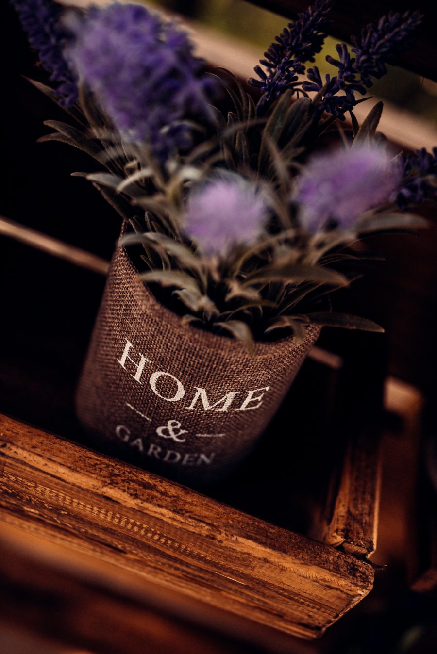 Alexandra&Adrian – Nunta-106